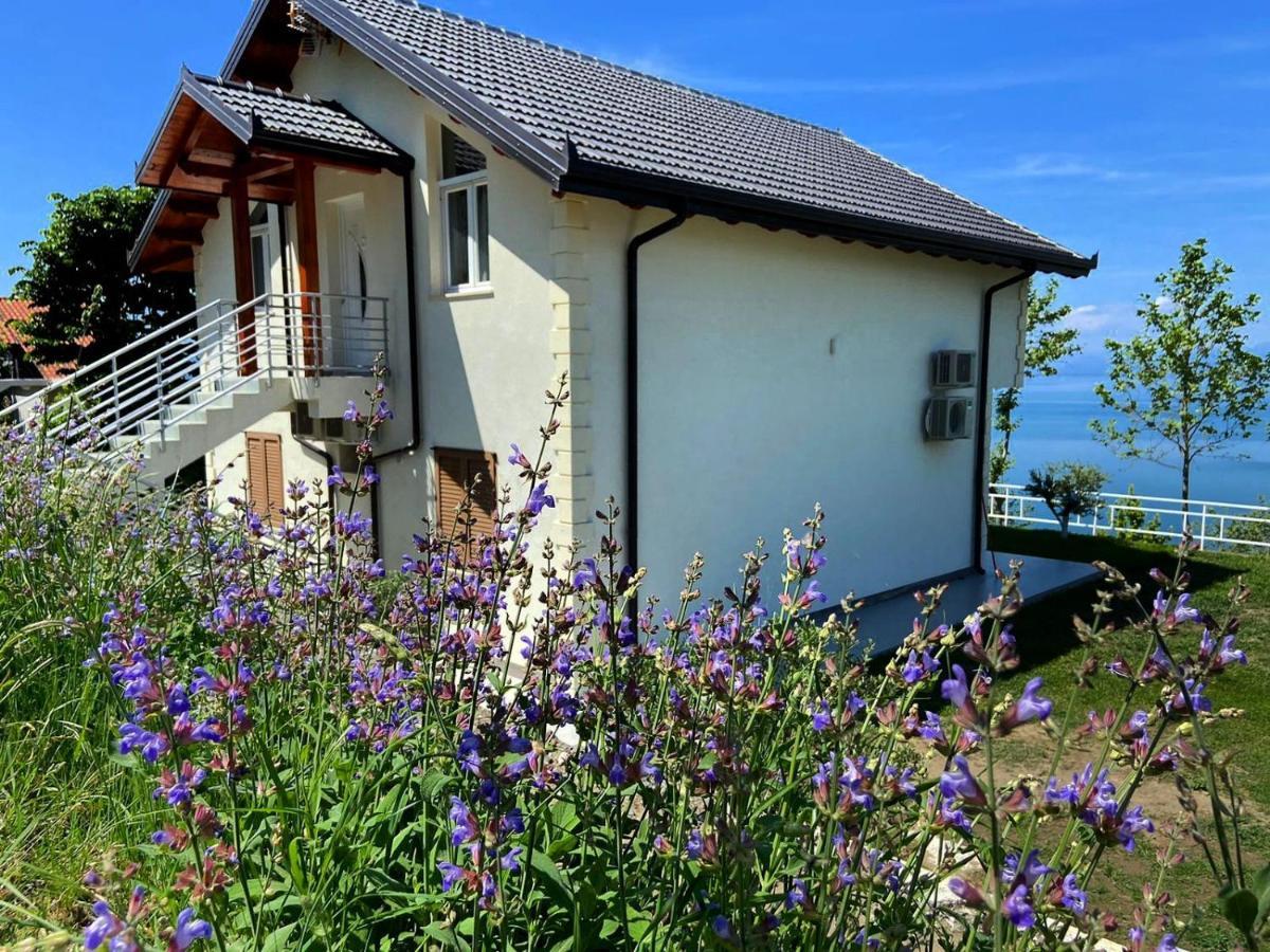 Xhuli Guesthouse Shkodër Dış mekan fotoğraf