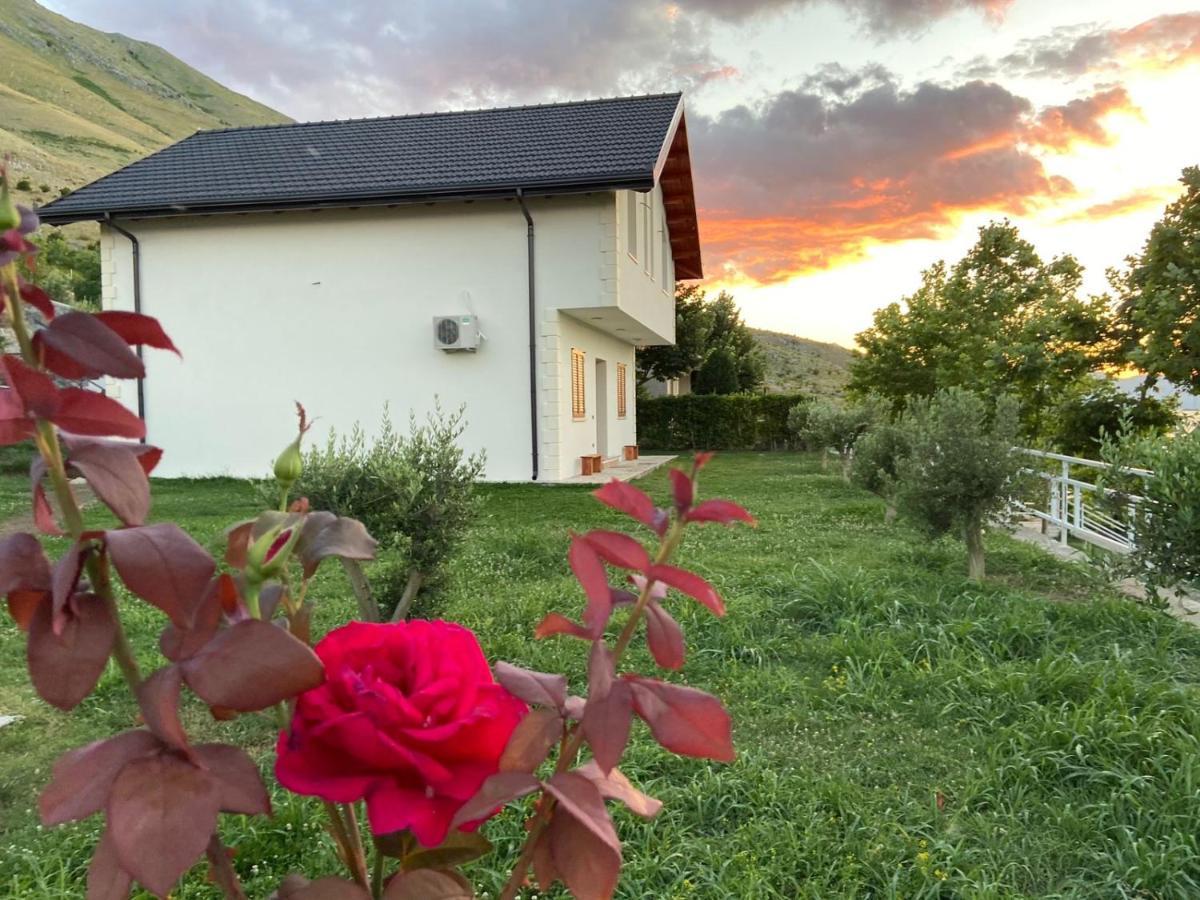 Xhuli Guesthouse Shkodër Dış mekan fotoğraf
