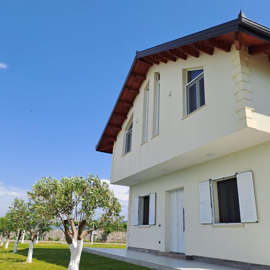 Xhuli Guesthouse Shkodër Dış mekan fotoğraf